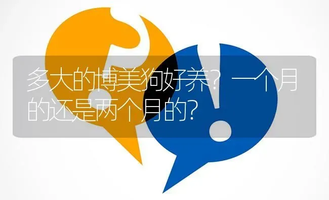 多大的博美狗好养？一个月的还是两个月的？ | 动物养殖问答