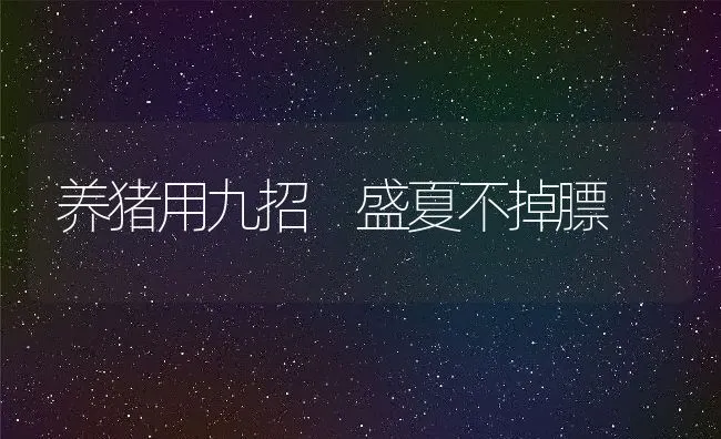 中药防治兔球虫病的研究进展 | 动物养殖学堂