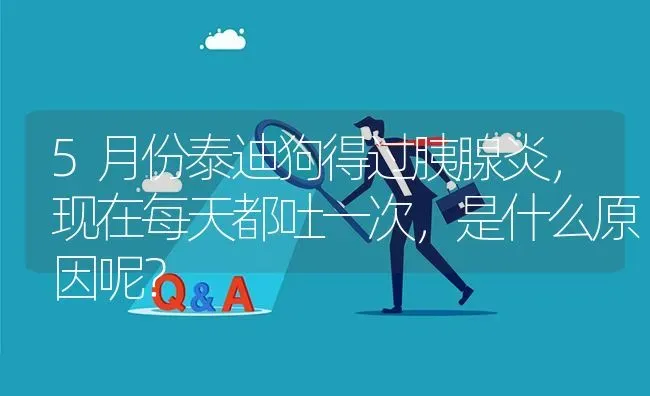 5月份泰迪狗得过胰腺炎，现在每天都吐一次，是什么原因呢？ | 动物养殖问答