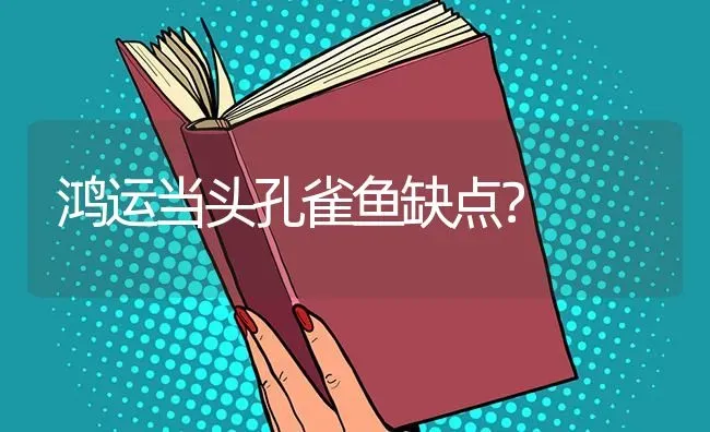 鸿运当头孔雀鱼缺点？ | 鱼类宠物饲养