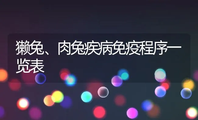 獭兔、肉兔疾病免疫程序一览表 | 水产养殖知识