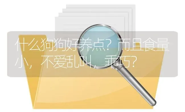 什么狗狗好养点？而且食量小，不爱乱叫，乖巧？ | 动物养殖问答