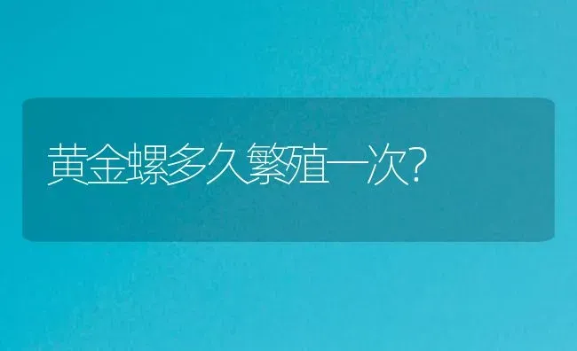 黄金螺多久繁殖一次？ | 鱼类宠物饲养