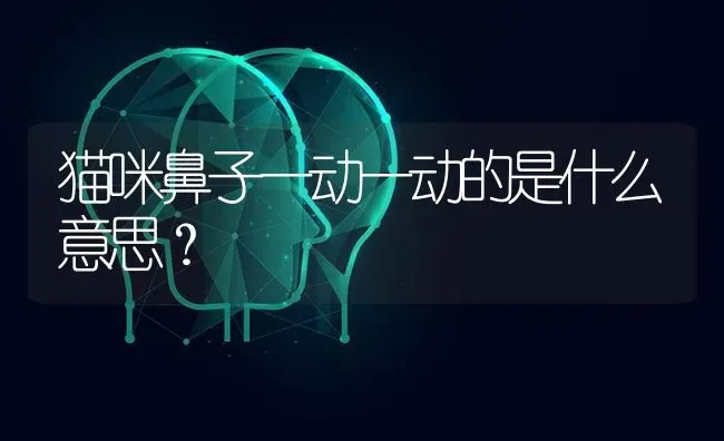 蓝白和布偶的区别？ | 动物养殖问答