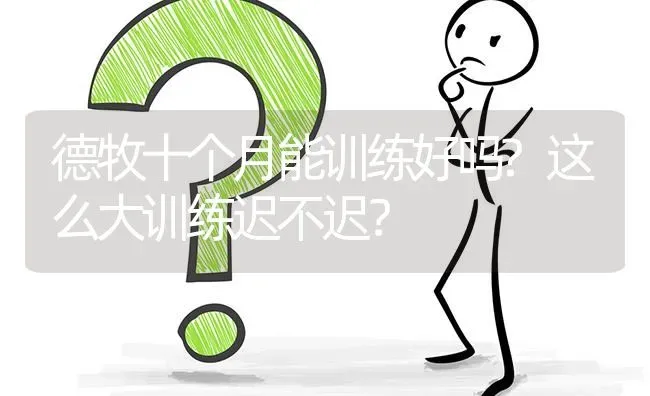 德牧十个月能训练好吗?这么大训练迟不迟？ | 动物养殖问答