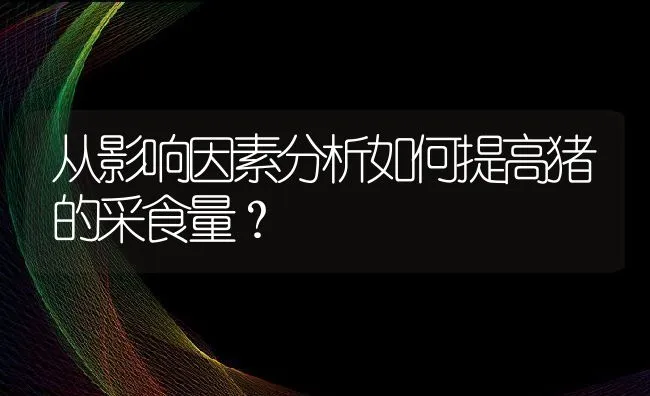 从影响因素分析如何提高猪的采食量？ | 动物养殖饲料