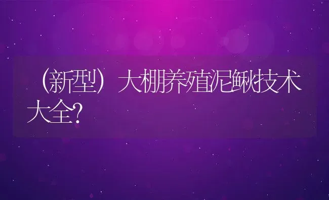 （新型）大棚养殖泥鳅技术大全？ | 动物养殖百科