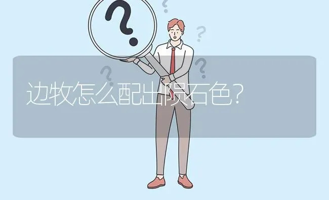 边牧怎么配出陨石色？ | 动物养殖问答