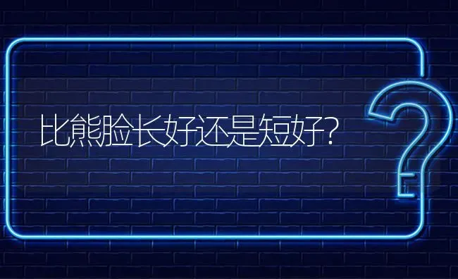 比熊脸长好还是短好？ | 动物养殖问答