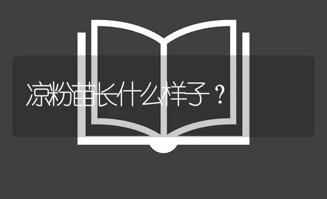 凉粉苗长什么样子？ | 鱼类宠物饲养