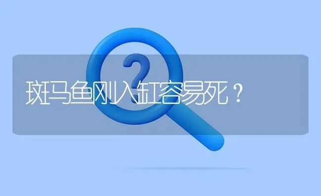 斑马鱼刚入缸容易死？ | 鱼类宠物饲养