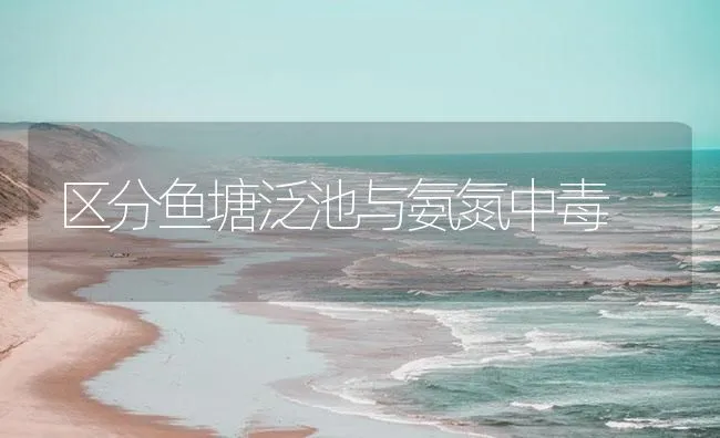 区分鱼塘泛池与氨氮中毒 | 海水养殖技术