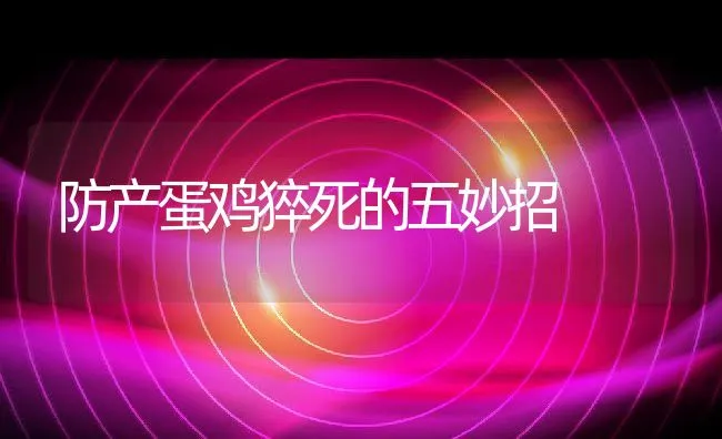 九月份甲鱼养殖管理 | 动物养殖学堂