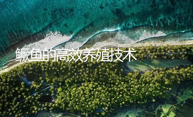 鳜鱼的高效养殖技术 | 海水养殖技术