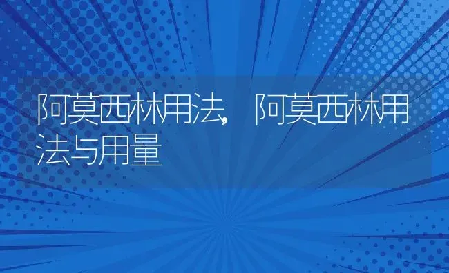 阿莫西林用法,阿莫西林用法与用量 | 宠物百科知识