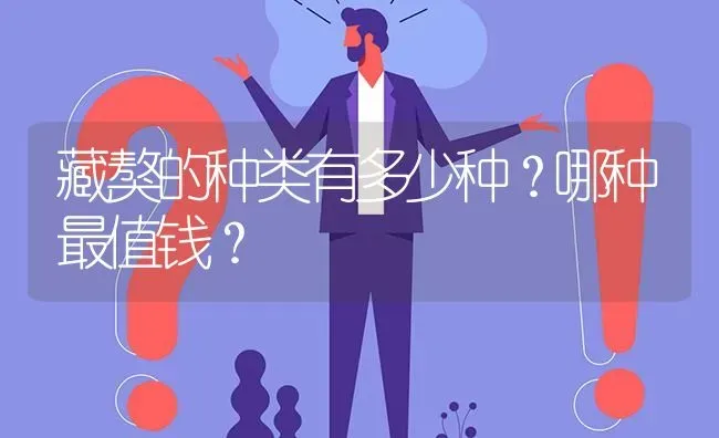 藏獒的种类有多少种？哪种最值钱？ | 动物养殖问答