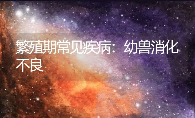 影响禽畜维生素需要量的因素 | 动物养殖学堂