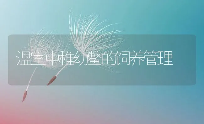 如何调节发酵床的温度？ | 动物养殖学堂