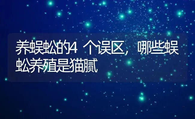 养蜈蚣的4个误区，哪些蜈蚣养殖是猫腻 | 动物养殖百科