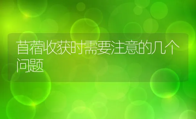 苜蓿收获时需要注意的几个问题 | 动物养殖饲料