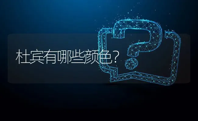 金毛出生的名字叫什么？ | 动物养殖问答