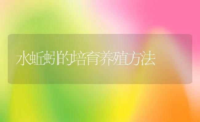 水蚯蚓的培育养殖方法 | 水产养殖知识