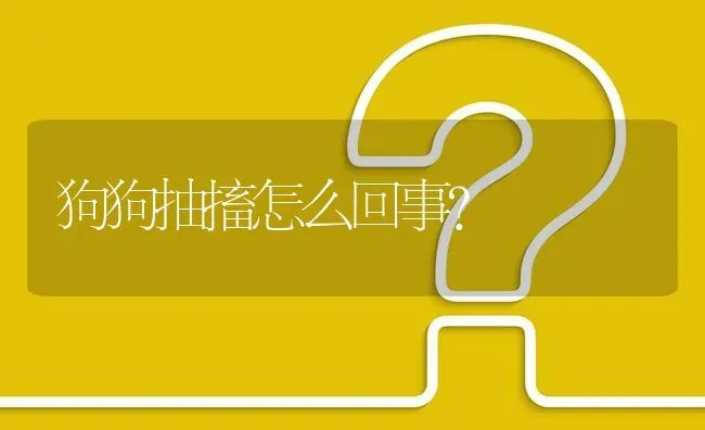 狗狗抽搐怎么回事？ | 动物养殖问答