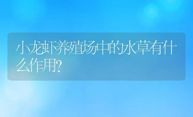 小龙虾养殖场中的水草有什么作用？ | 动物养殖百科