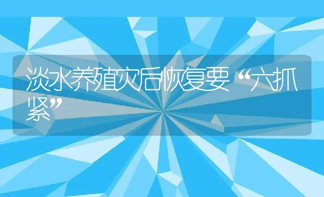 淡水养殖灾后恢复要“六抓紧” | 动物养殖饲料