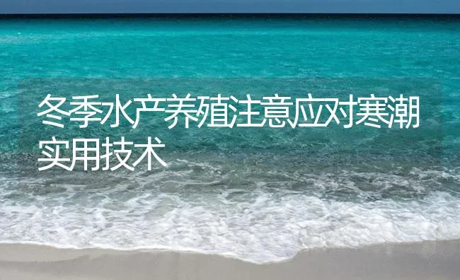 冬季水产养殖注意应对寒潮实用技术 | 海水养殖技术