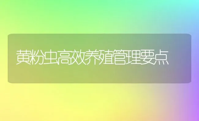 黄粉虫高效养殖管理要点 | 动物养殖学堂