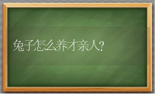 兔子怎么养才亲人？ | 动物养殖问答