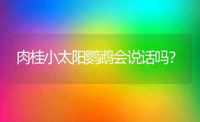 肉桂小太阳鹦鹉会说话吗？ | 动物养殖问答