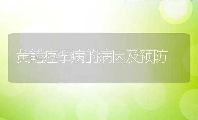 黄鳝痉挛病的病因及预防 | 动物养殖百科