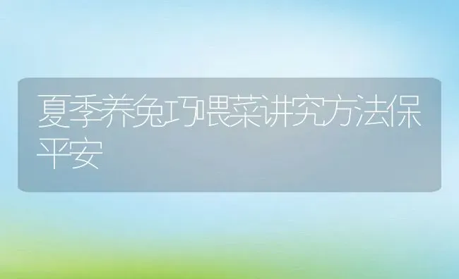 夏季养兔巧喂菜讲究方法保平安 | 动物养殖教程