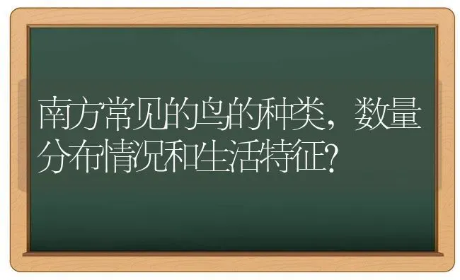 南方常见的鸟的种类,数量分布情况和生活特征？ | 动物养殖问答