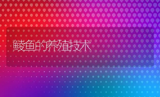 鲮鱼的养殖技术 | 淡水养殖技术