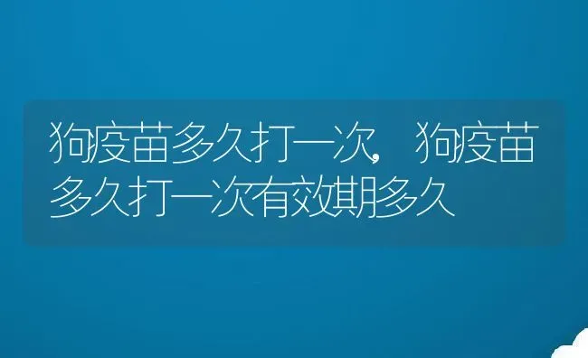 狗疫苗多久打一次,狗疫苗多久打一次有效期多久 | 宠物百科知识