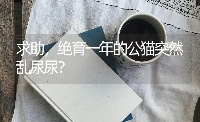 牛和狗谁的智商高？ | 动物养殖问答