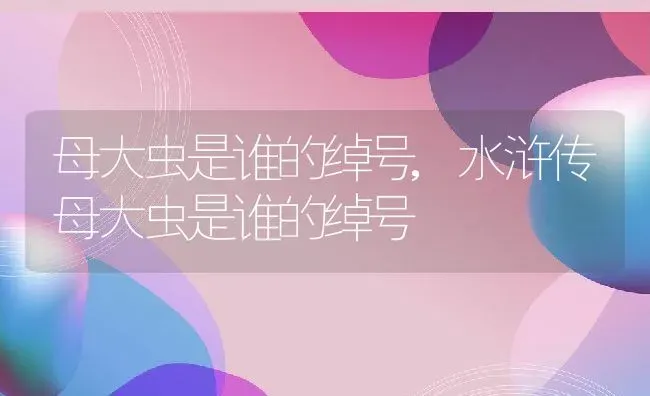 母大虫是谁的绰号,水浒传母大虫是谁的绰号 | 宠物百科知识