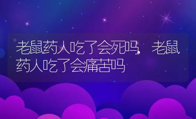 老鼠药人吃了会死吗,老鼠药人吃了会痛苦吗 | 宠物百科知识