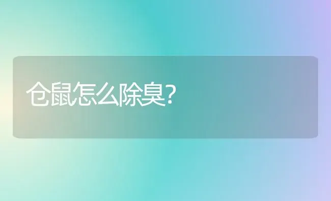 仓鼠怎么除臭？ | 动物养殖问答