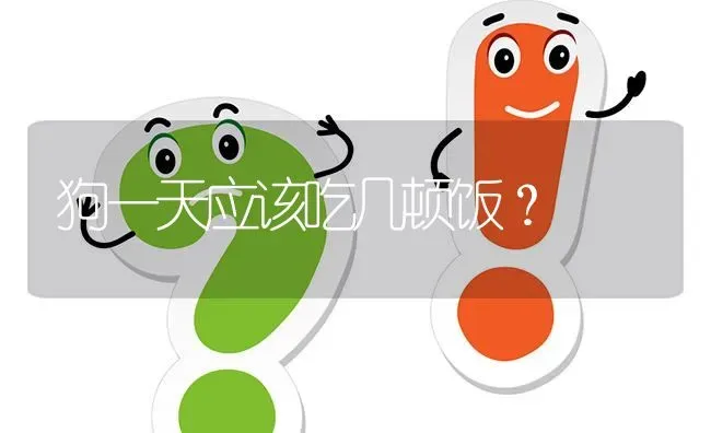 狗一天应该吃几顿饭？ | 动物养殖问答