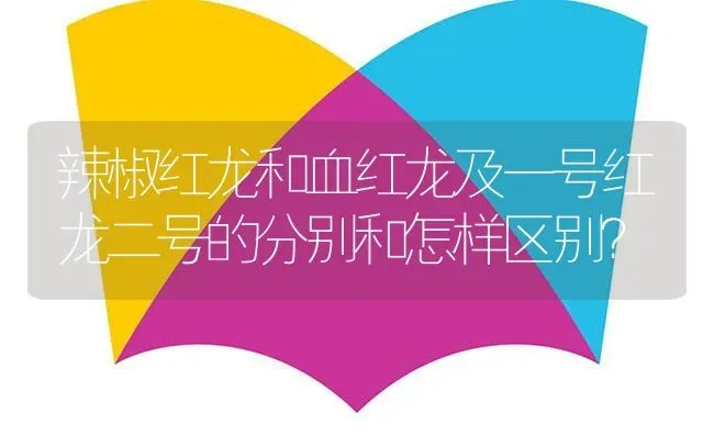 辣椒红龙和血红龙及一号红龙二号的分别和怎样区别？ | 鱼类宠物饲养