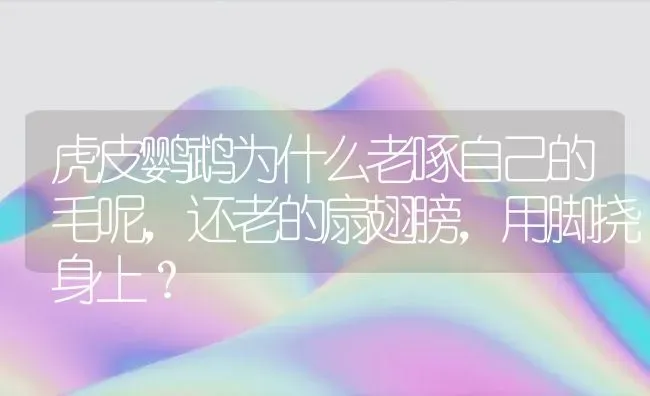 可爱又潮有顺口的小型宠物名？ | 动物养殖问答