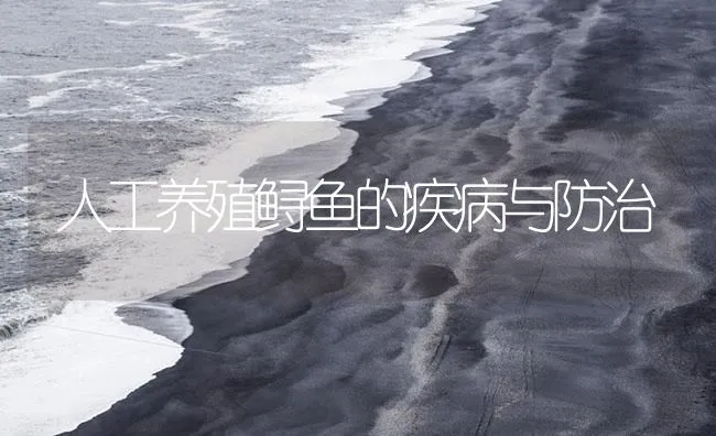 人工养殖鲟鱼的疾病与防治 | 海水养殖技术