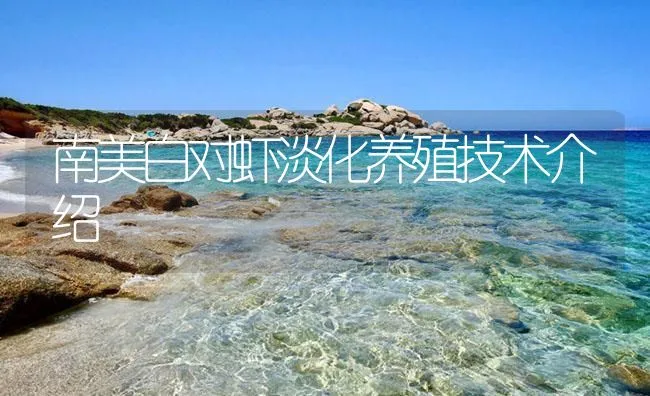 南美白对虾淡化养殖技术介绍 | 海水养殖技术