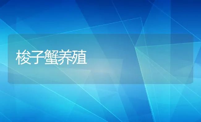 梭子蟹养殖 | 动物养殖饲料