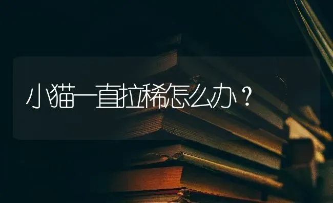 英短矮脚和长脚区别？ | 动物养殖问答