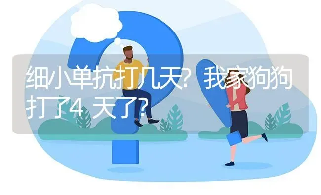 细小单抗打几天?我家狗狗打了4天了？ | 动物养殖问答